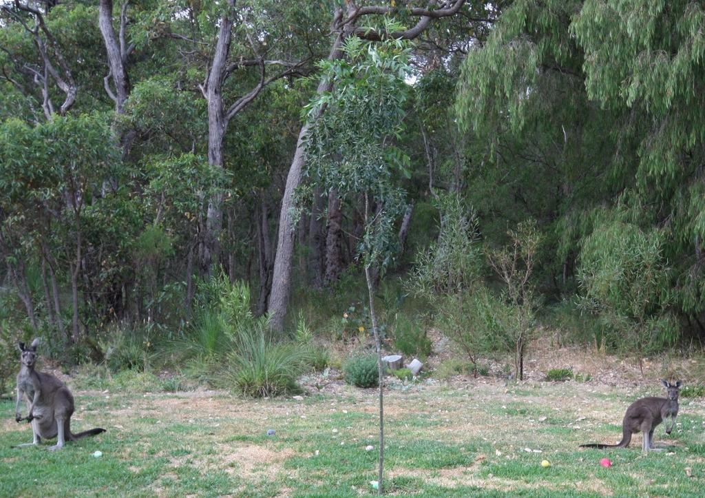 Margaret River Bed & Breakfast Exterior foto